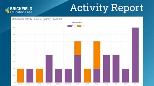 Brickfield activity report