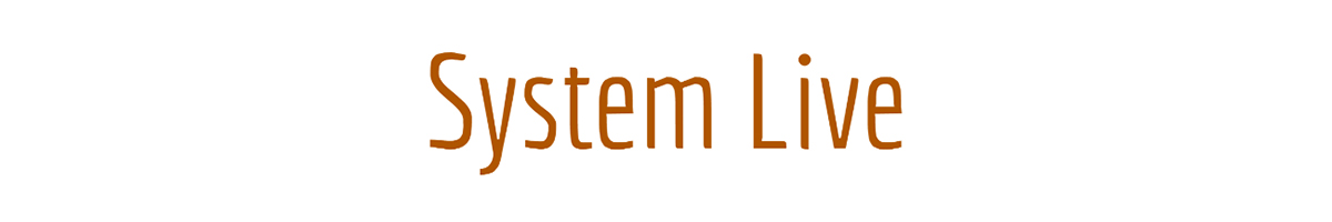 System Live logo