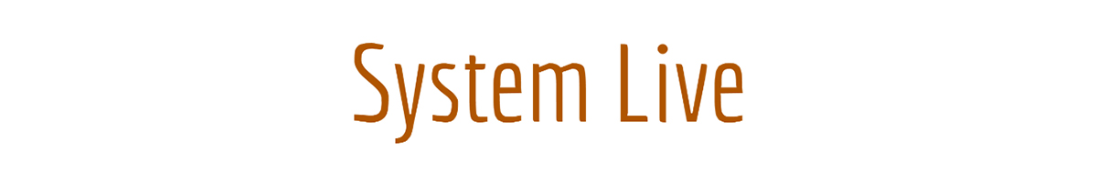 System Live logo